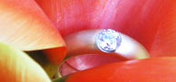 Brillant-Ring
