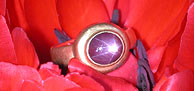 Ring mit Sternrubin